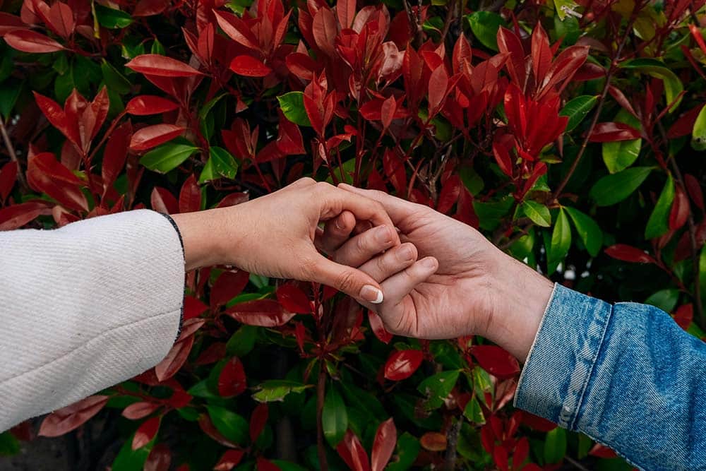 People holding hands with a background of green leaves