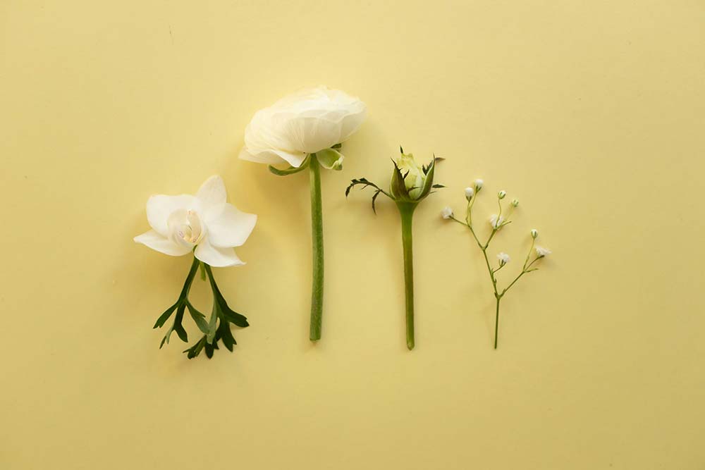 white flowers and buds arranged on a soft yellow background